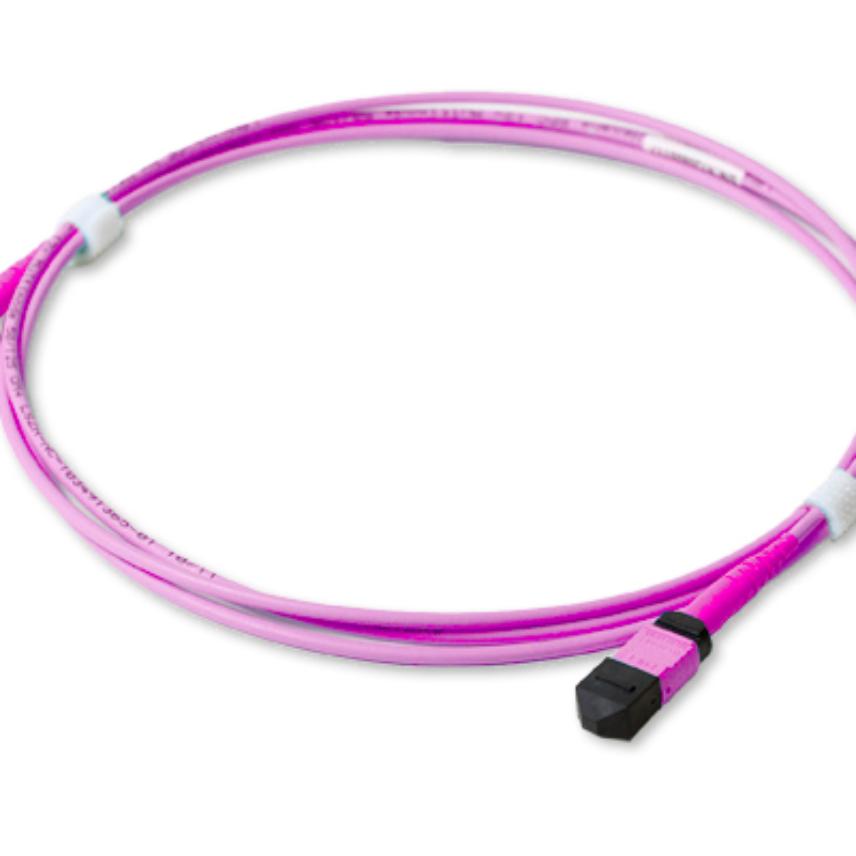 LANmark-OF Patch Cord Female MTP Pro - Female MTP Pro OM4 LSZH xm Violet