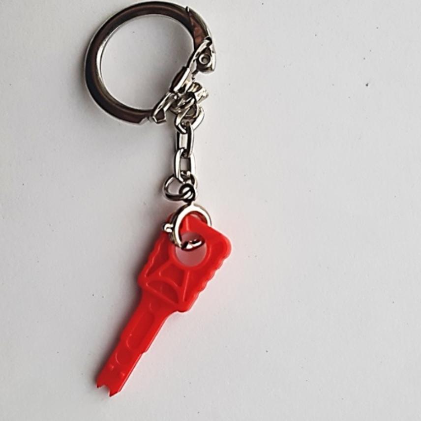 LANmark Secure Lock Copper Keys