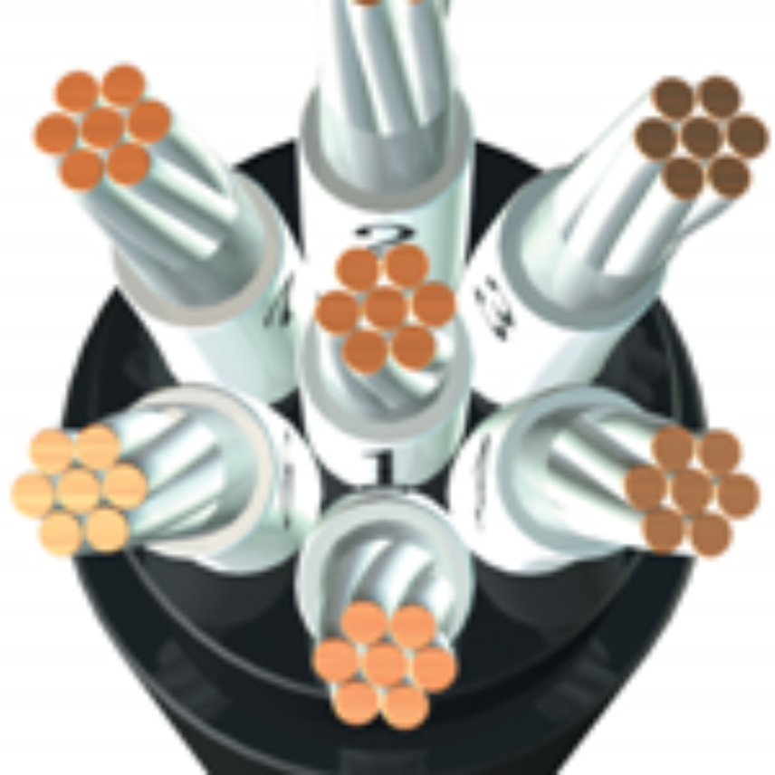0.6/1KV BU [P110] (Control Cores)